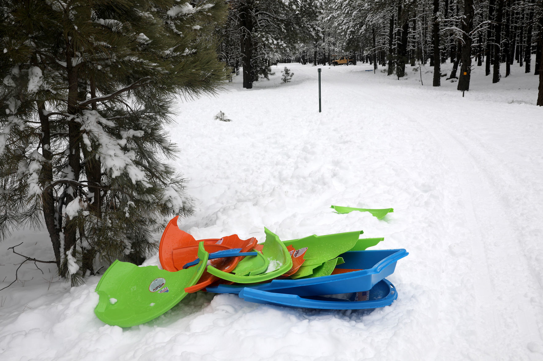 Trashing The Forrest